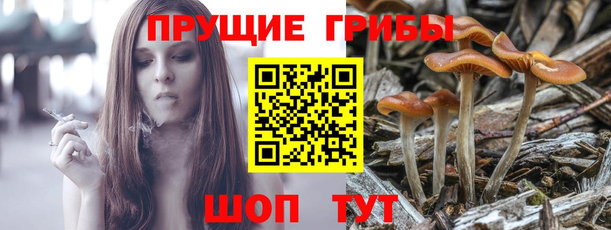 Псилоцибиновые грибы ЛСД Лысьва